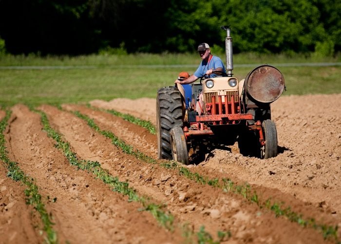 pexels-nc-farm-bureau-mark-2252618